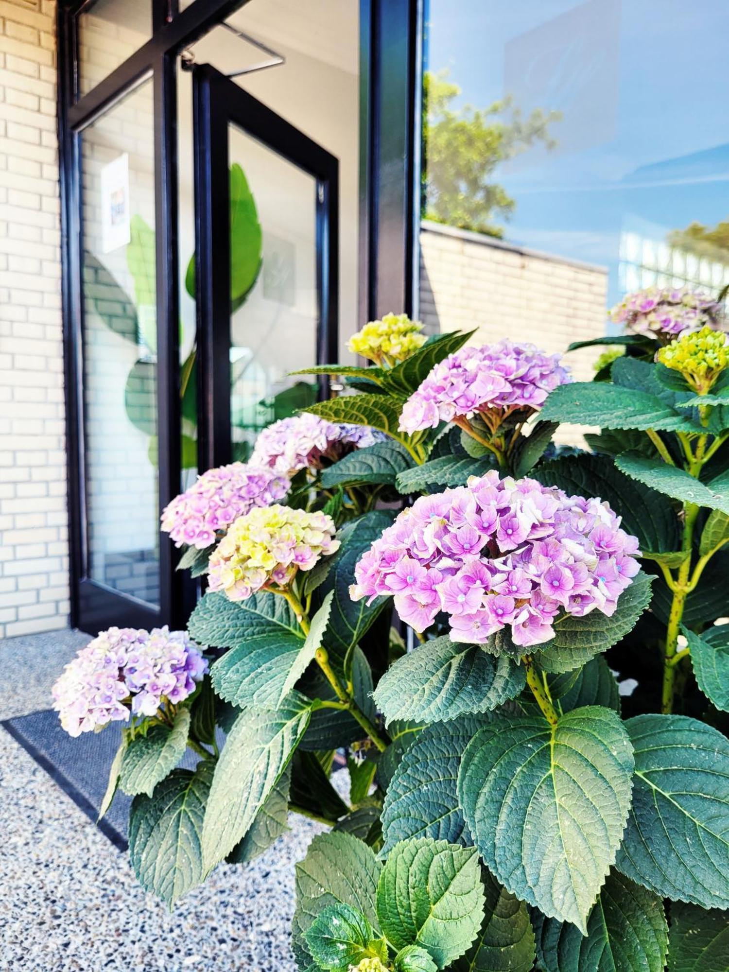 Gemuetliche & Moderne Ferienwohnung - Nur 7 Gehminuten Vom Strand Entfernt, Inklusive Parkplatz Und Gartenzugang シャルボイツ エクステリア 写真